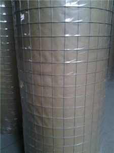 Aviary Mesh