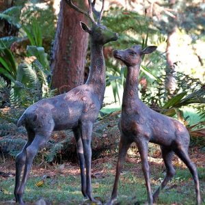 Stag and Doe - Extra Large