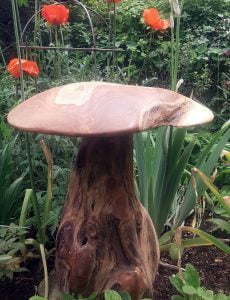 Giant Wooden Mushroom