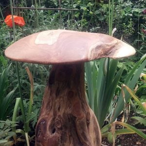 Giant Wooden Mushroom