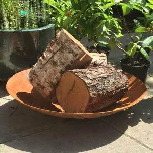 Fire Pit