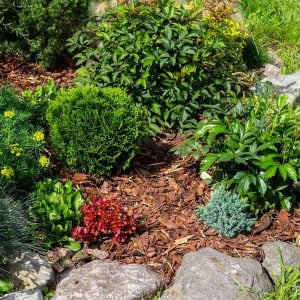 Compost & Mulch