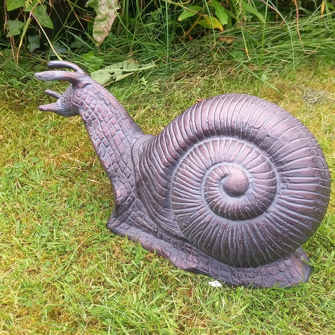 Giant Snail