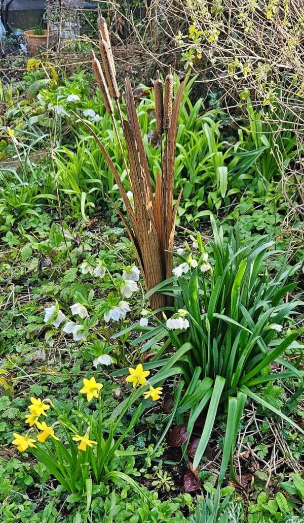 Decorative Reeds Garden Stake - Farm and Garden Supplies