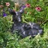 Large Doe and Baby Fawn Garden Sculpture Deer Ornament - Image 5