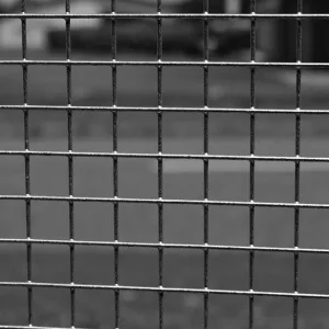 Square Weld Mesh 1 Inch x 1 Inch (25mm x 25mm) - 16G
