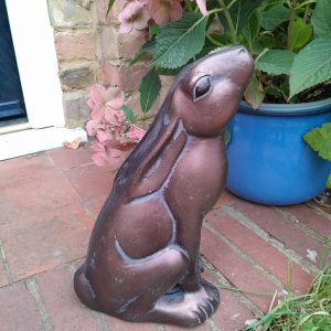 Moongazing Hare 1 - Farm and Garden Supplies