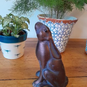 Moongazing Hare 1 - Farm and Garden Supplies