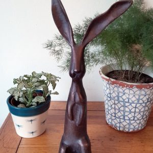 long eared rabbit 1 - Farm and Garden Supplies