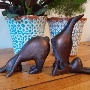 yoga bunnies 1 - Farm and Garden Supplies