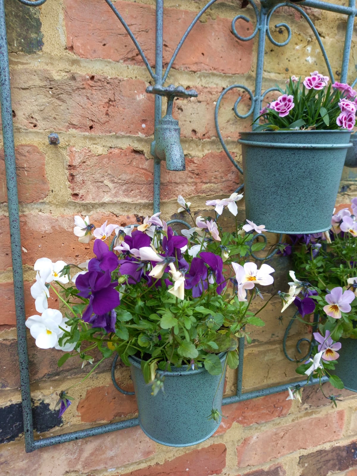 Plant Pot Wall Hanger with Three Decorative Taps - Image 3